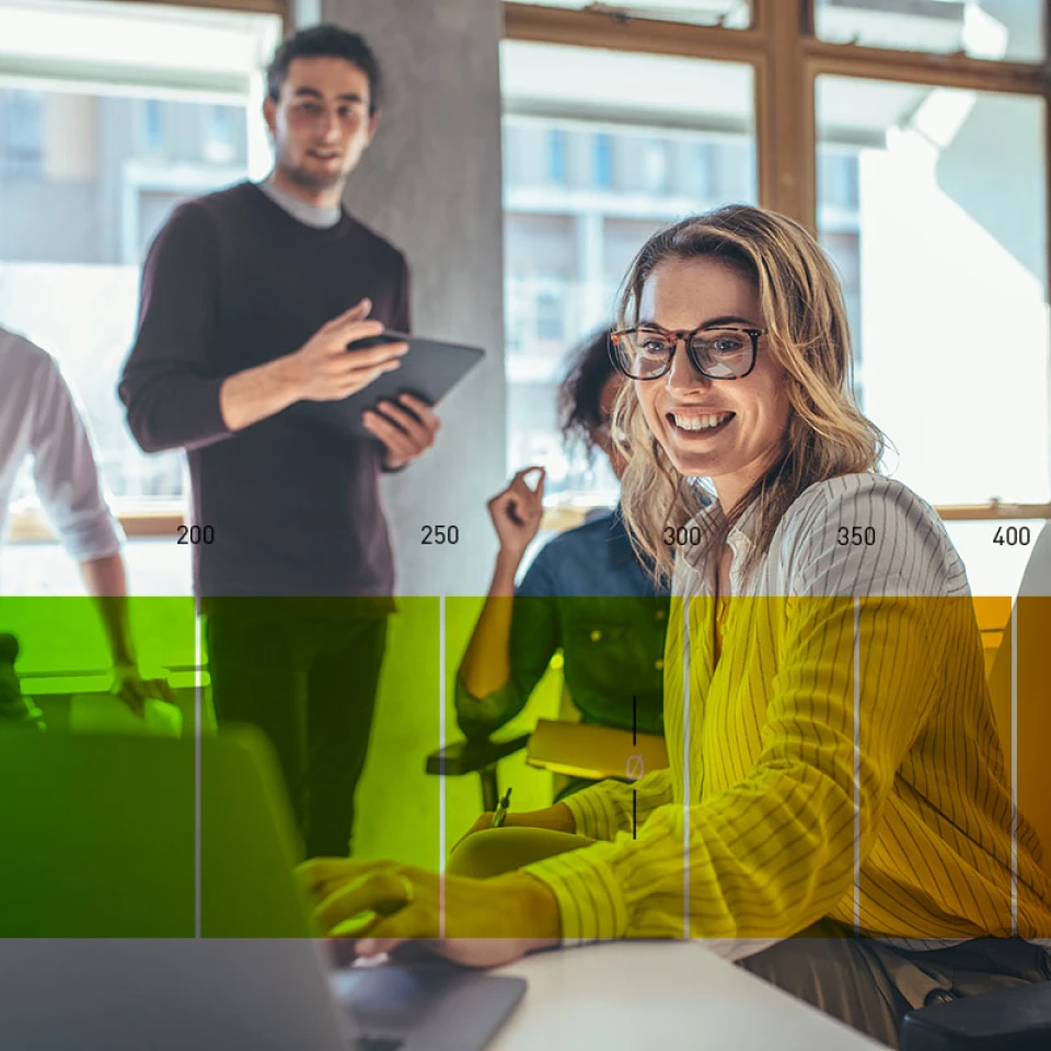 RIT® Creditreform Schnittstelle