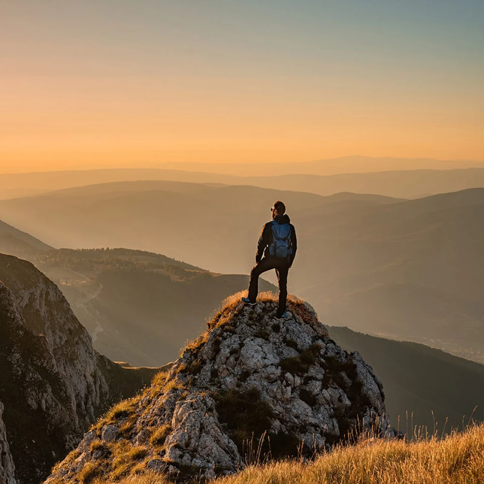 Vision, Mission, Zweck und Werte